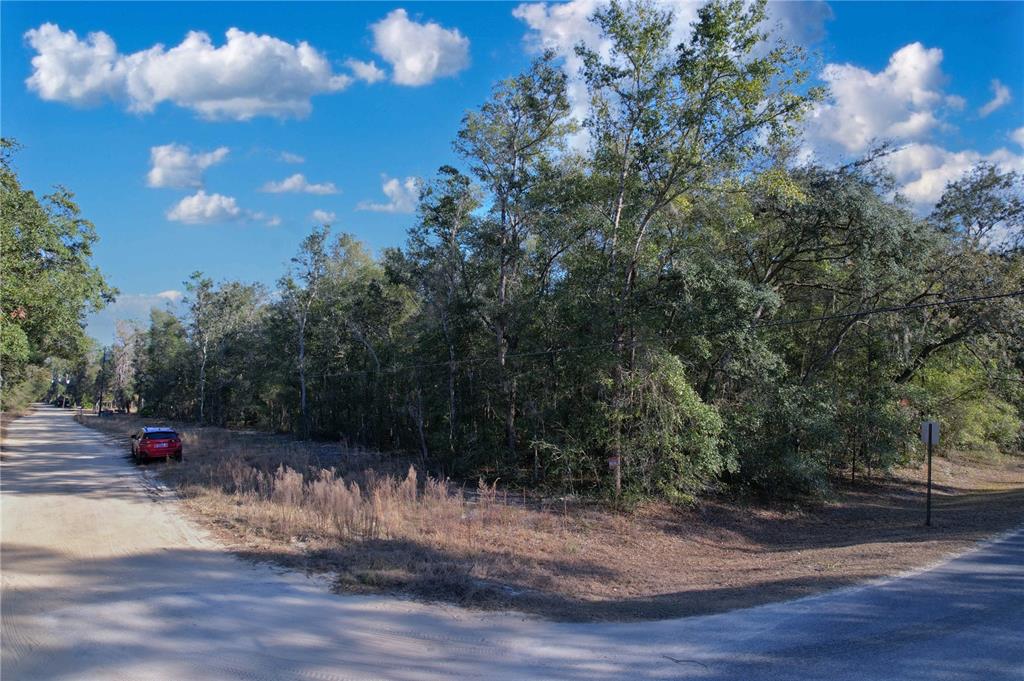 0 Hemlock Street Interlachen, FL 32148 - Photo 14 of 20