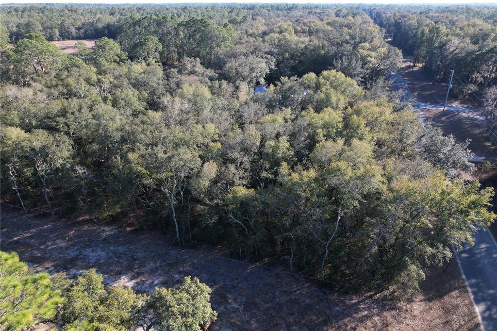 0 Hemlock Street Interlachen, FL 32148 - Photo 15 of 20