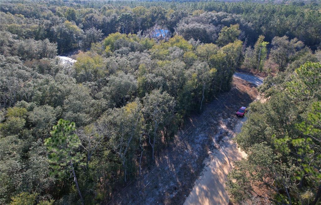 0 Hemlock Street Interlachen, FL 32148 - Photo 16 of 20