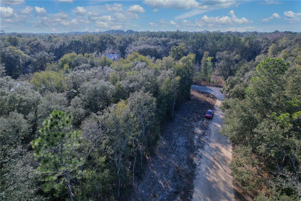 0 Hemlock Street Interlachen, FL 32148 - Photo 17 of 20