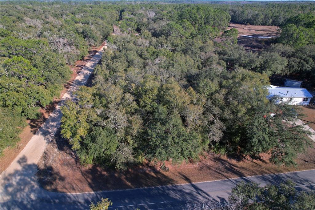 0 Hemlock Street Interlachen, FL 32148 - Photo 18 of 20