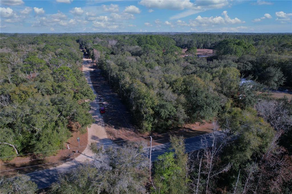 0 Hemlock Street Interlachen, FL 32148 - Photo 19 of 20
