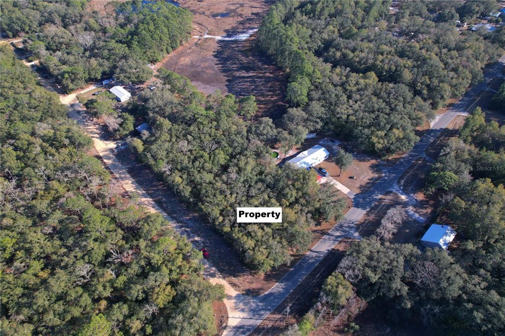 0 Hemlock Street Interlachen, FL 32148 - Photo 2 of 20