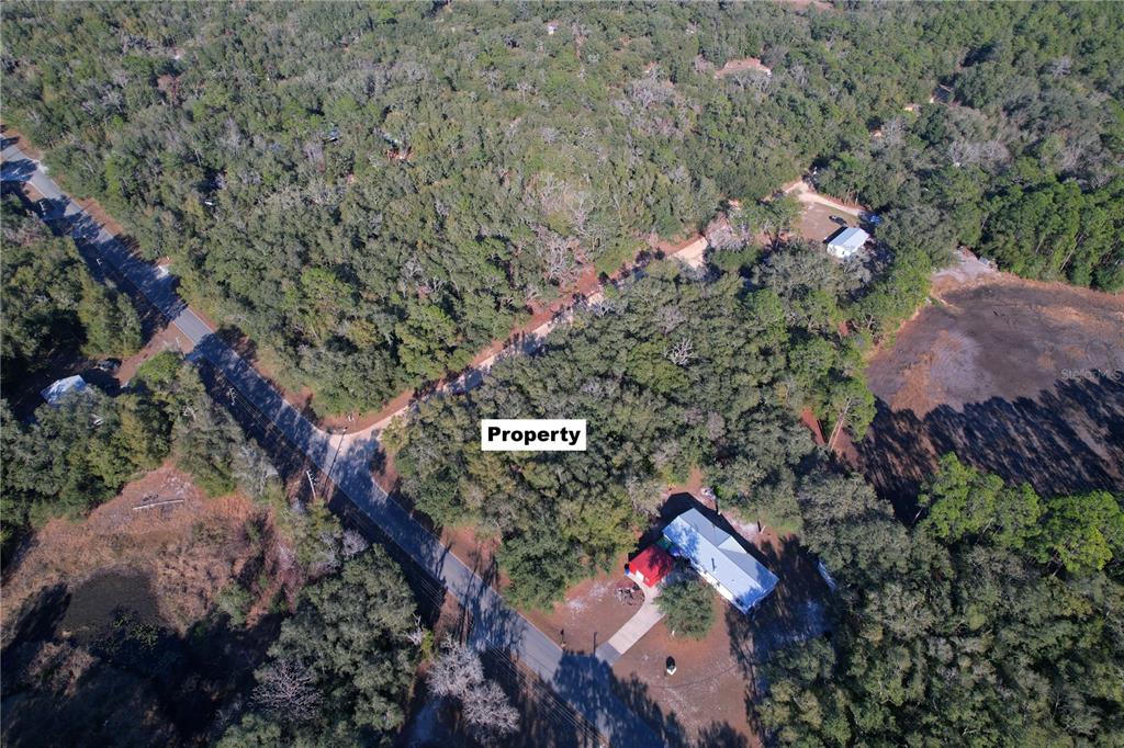 0 Hemlock Street Interlachen, FL 32148 - Photo 3 of 20