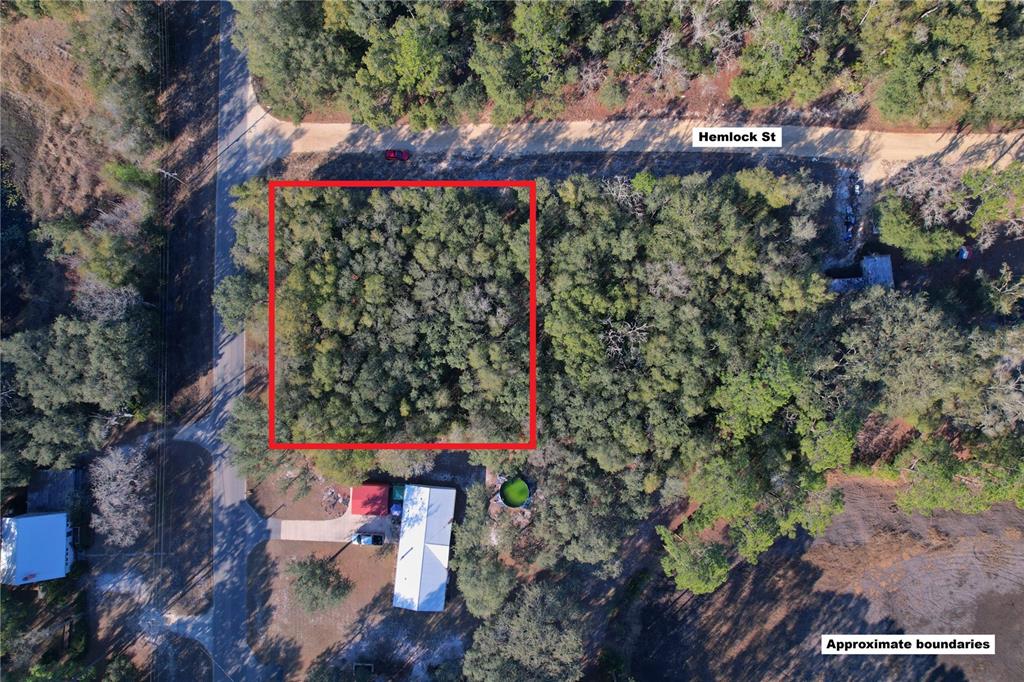 0 Hemlock Street Interlachen, FL 32148 - Photo 4 of 20