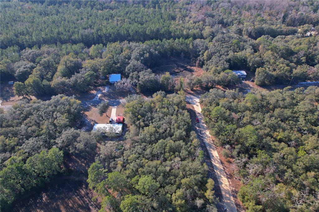 0 Hemlock Street Interlachen, FL 32148 - Photo 8 of 20