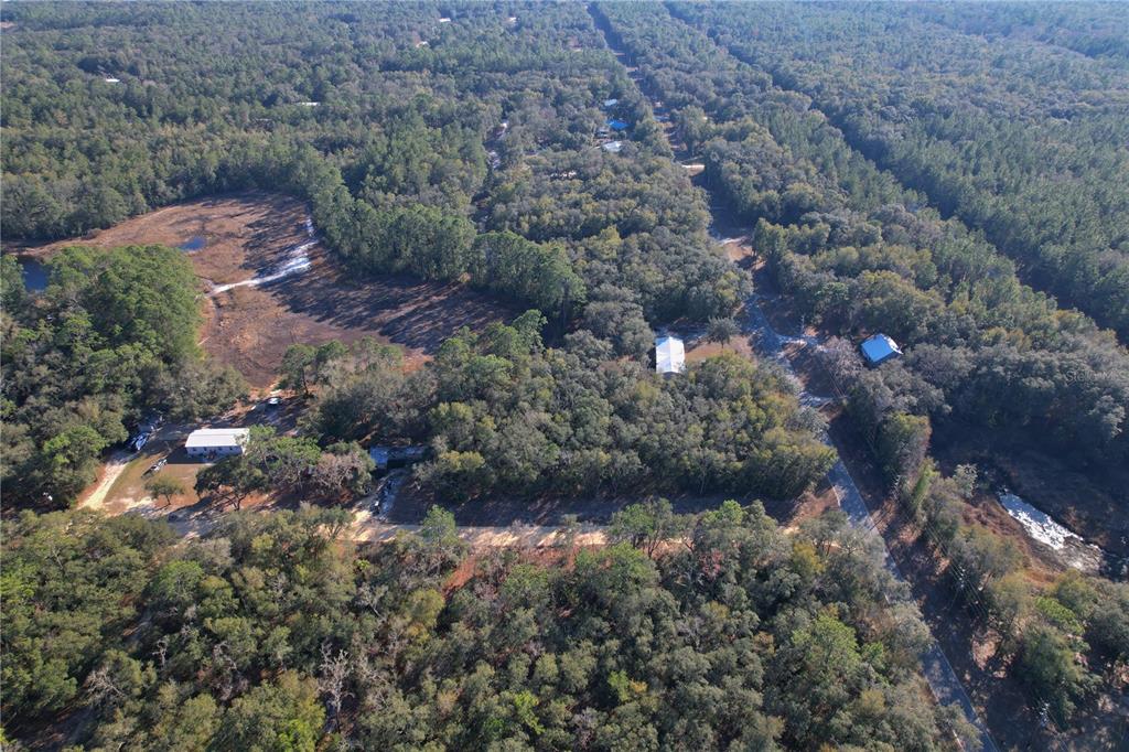 0 Hemlock Street Interlachen, FL 32148 - Photo 10 of 20