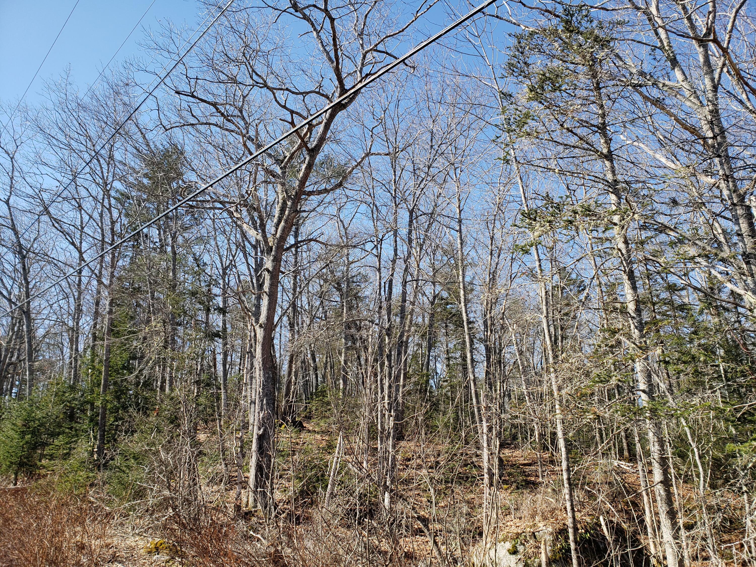 823 Castine Road Orland, ME 04472 - Photo 4 of 25 20220330_101226