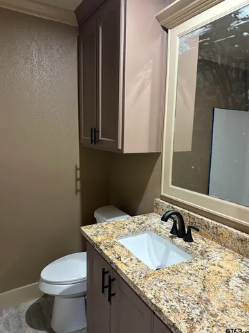a bathroom with a granite countertop sink a toilet and a mirror