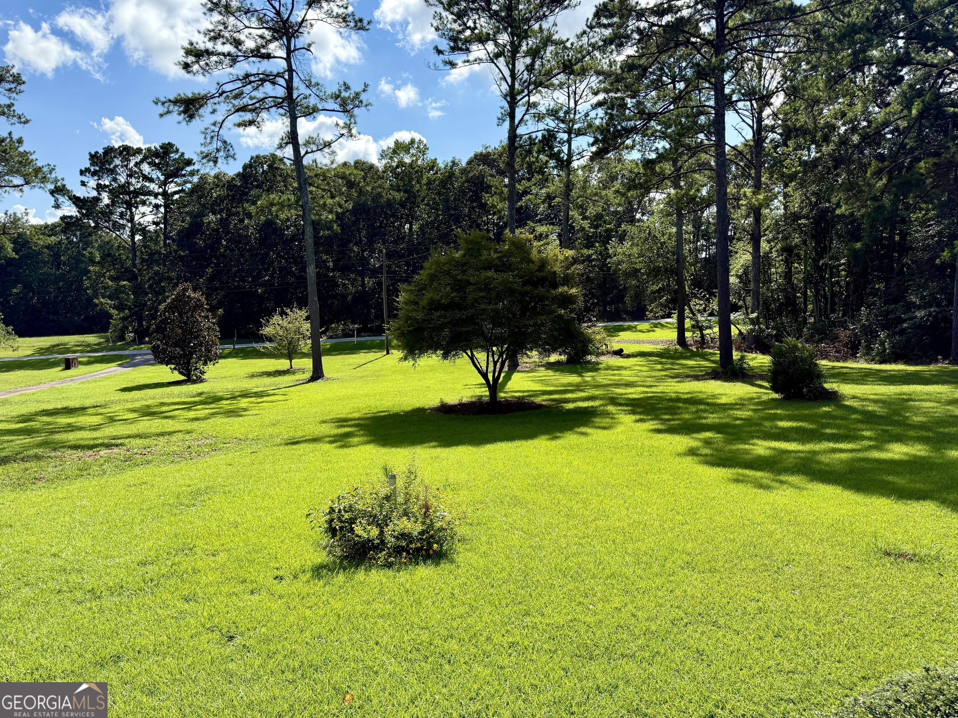 4170 Hollonville Road Williamson, GA 30292 - Photo 125 of 132 a view of a golf course with a lake