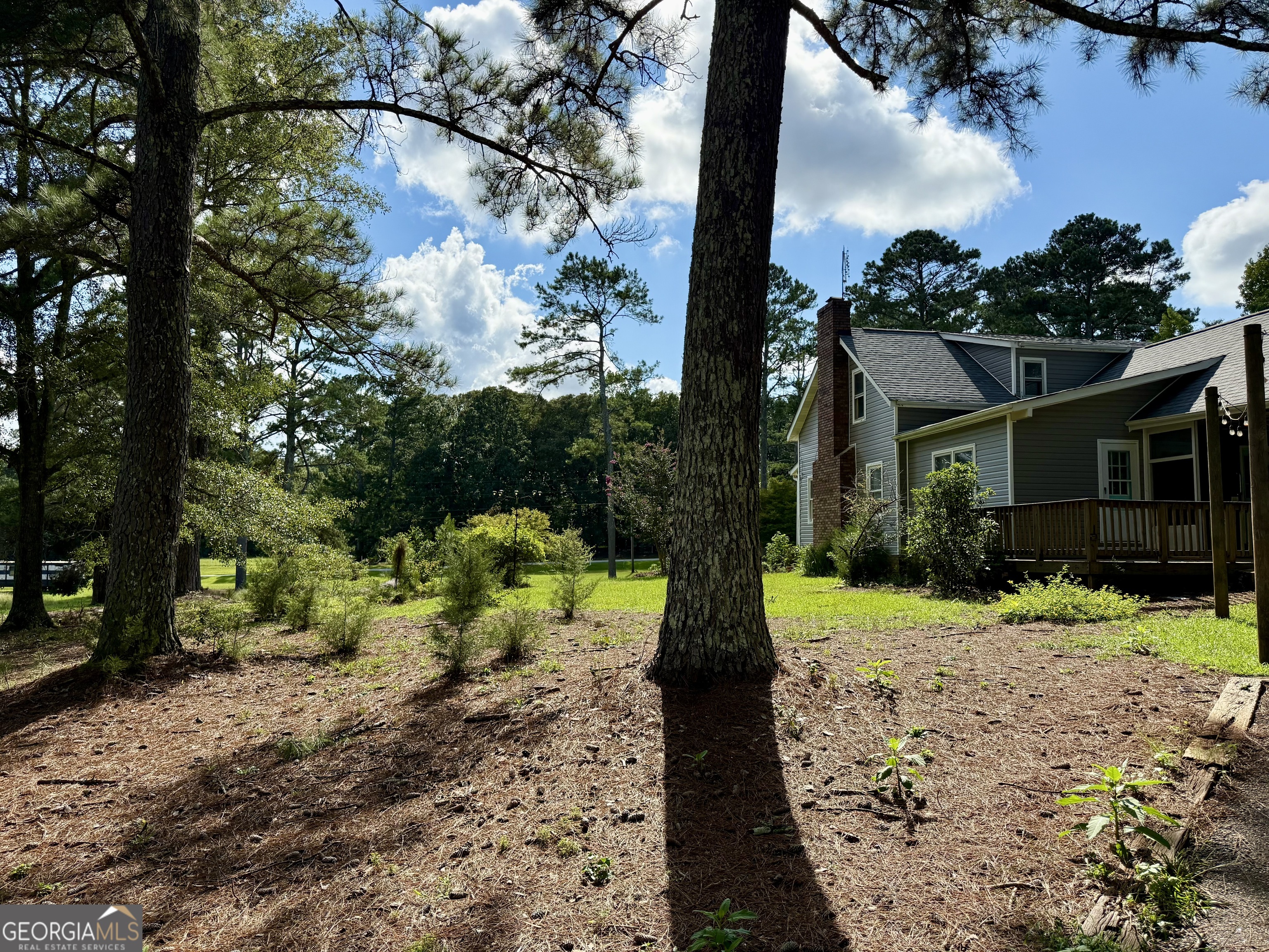 4170 Hollonville Road Williamson, GA 30292 - Photo 131 of 132 a front view of a house with a yard and an tree