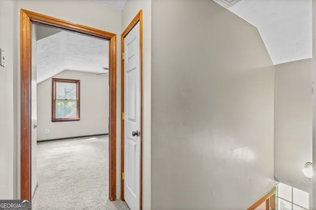 a view of a park with tree s