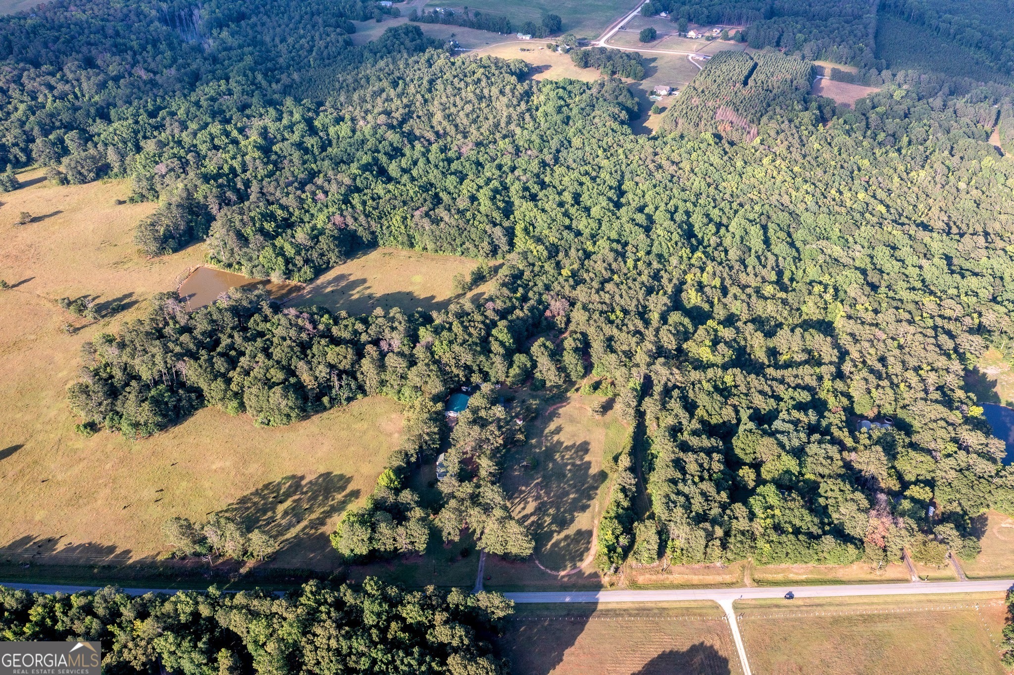 4170 Hollonville Road Williamson, GA 30292 - Photo 3 of 132