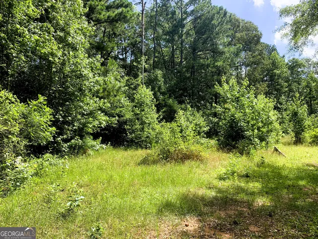 $484,900 | 4170 Hollonville Road, Williamson, GA 30292