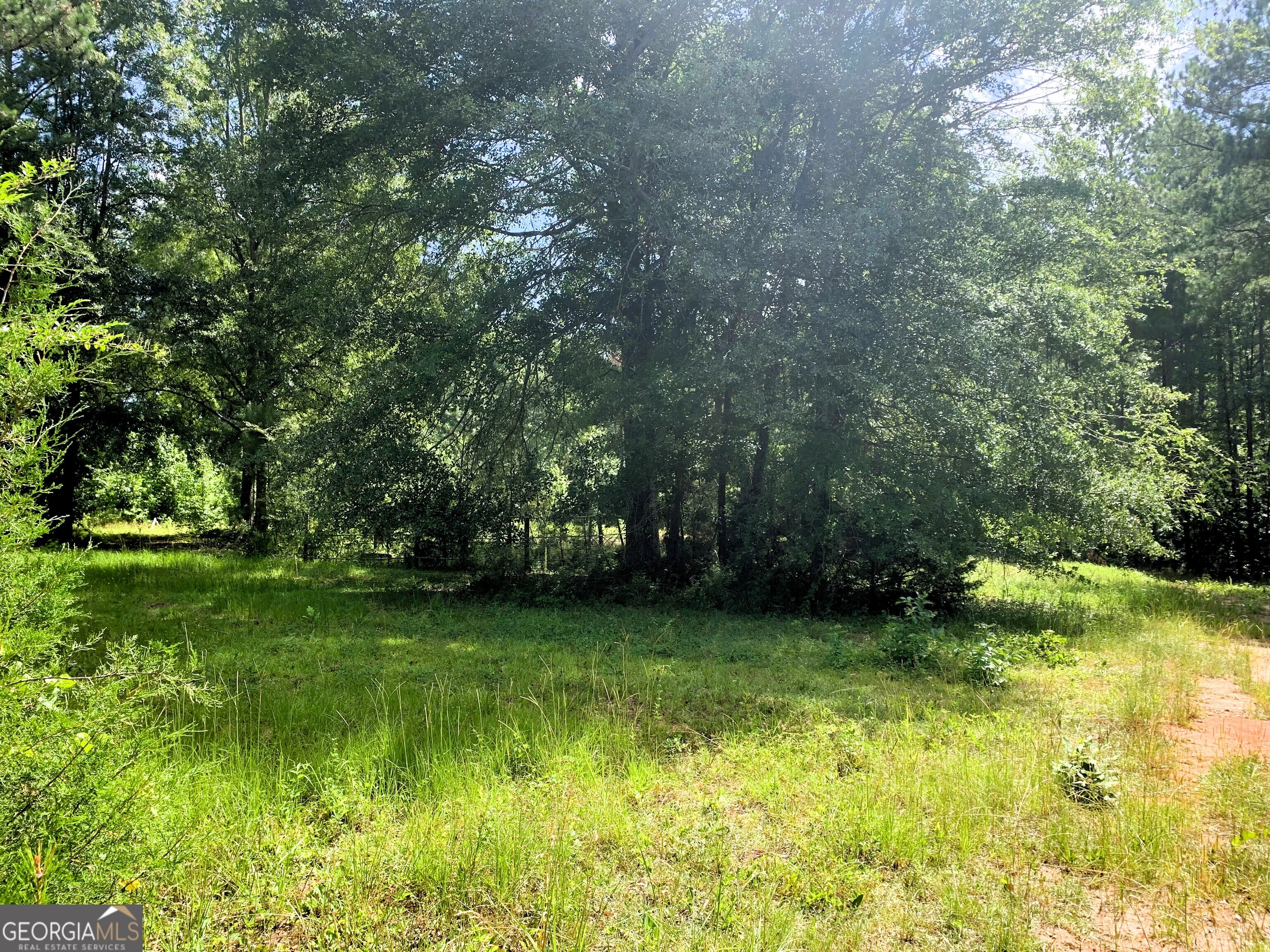 4170 Hollonville Road Williamson, GA 30292 - Photo 58 of 132