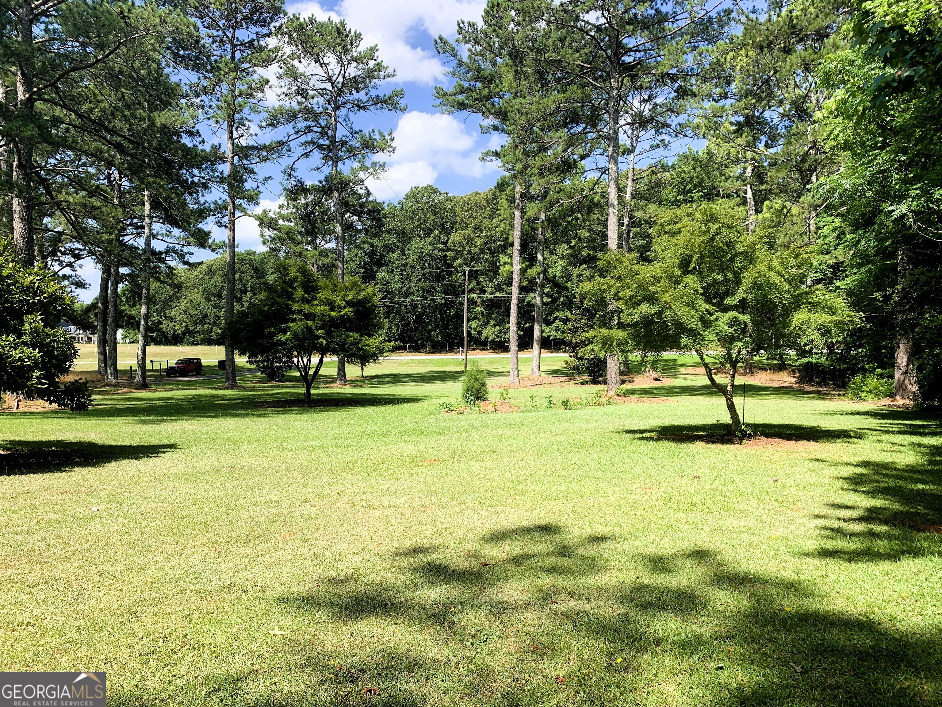 4170 Hollonville Road Williamson, GA 30292 - Photo 78 of 132 a view of a park with tree s