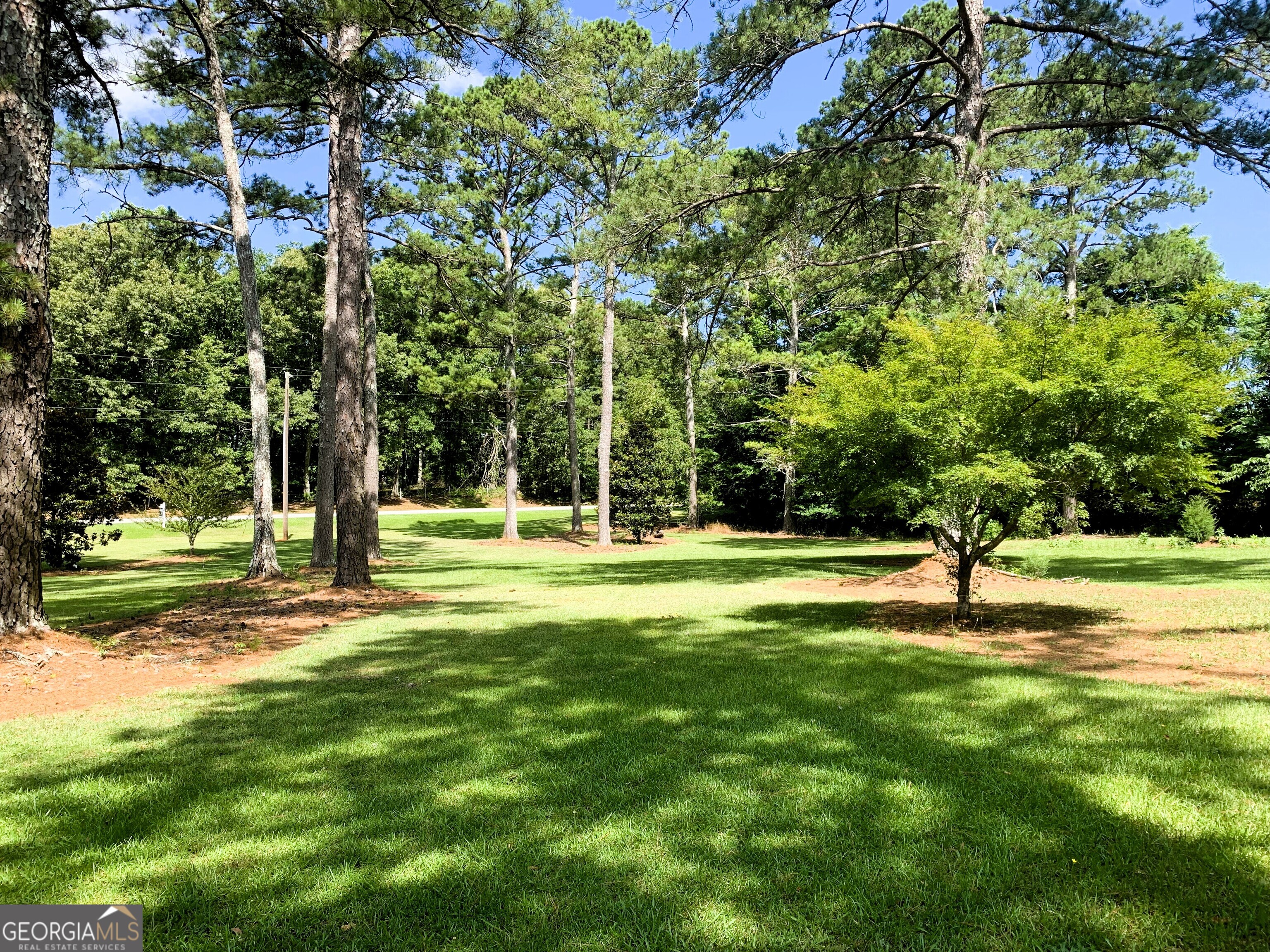 4170 Hollonville Road Williamson, GA 30292 - Photo 82 of 132 a swimming pool with trees in the background