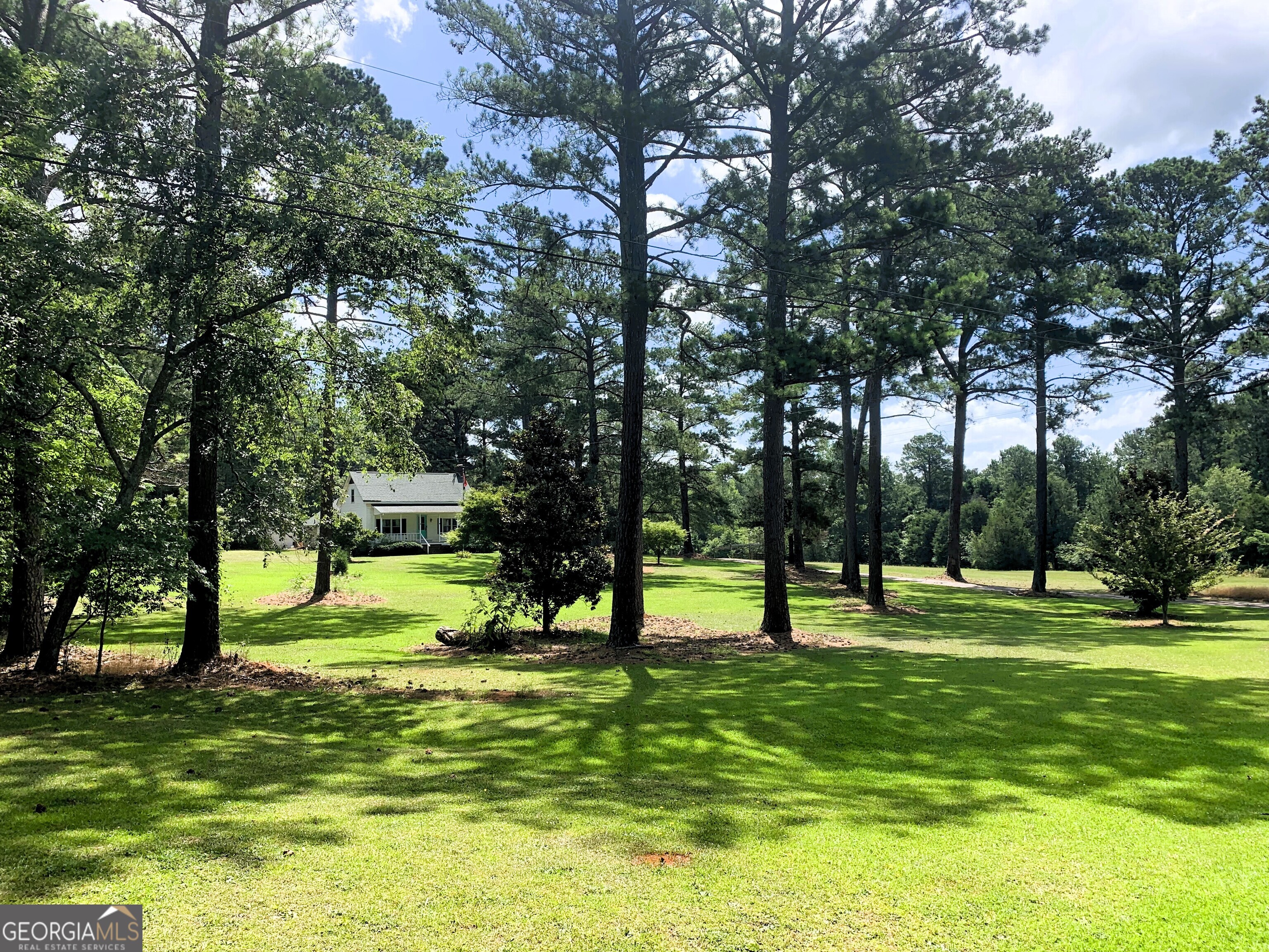 4170 Hollonville Road Williamson, GA 30292 - Photo 99 of 132 a view of a park with a tree