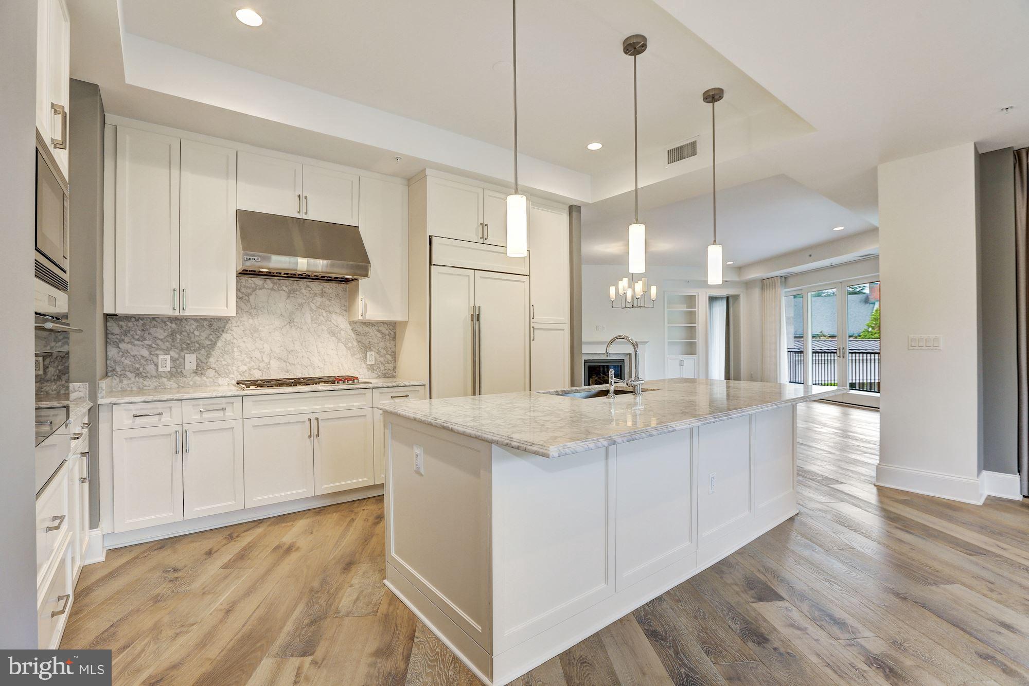 8111 River Road, Unit 123 Bethesda, MD 20817 - Photo 4 of 37 Gourmet Kitchen