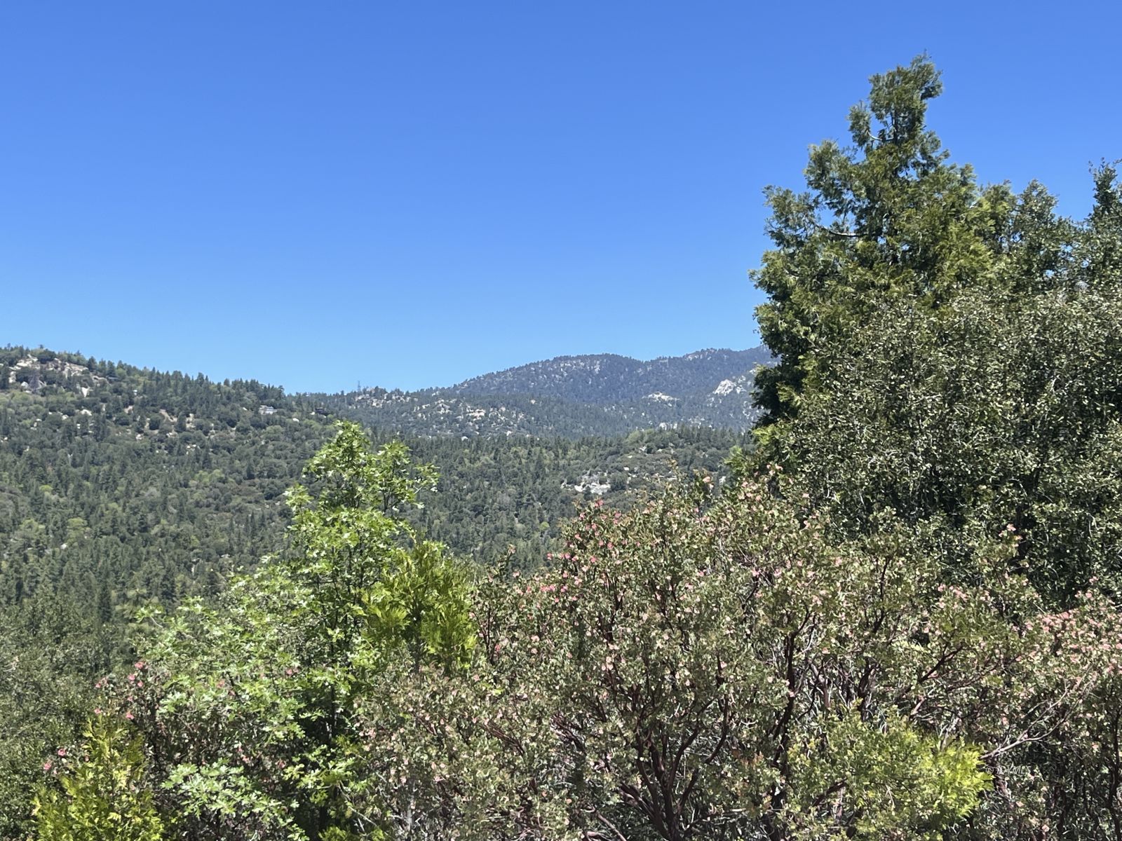 a view of a mountain range with trees in the background