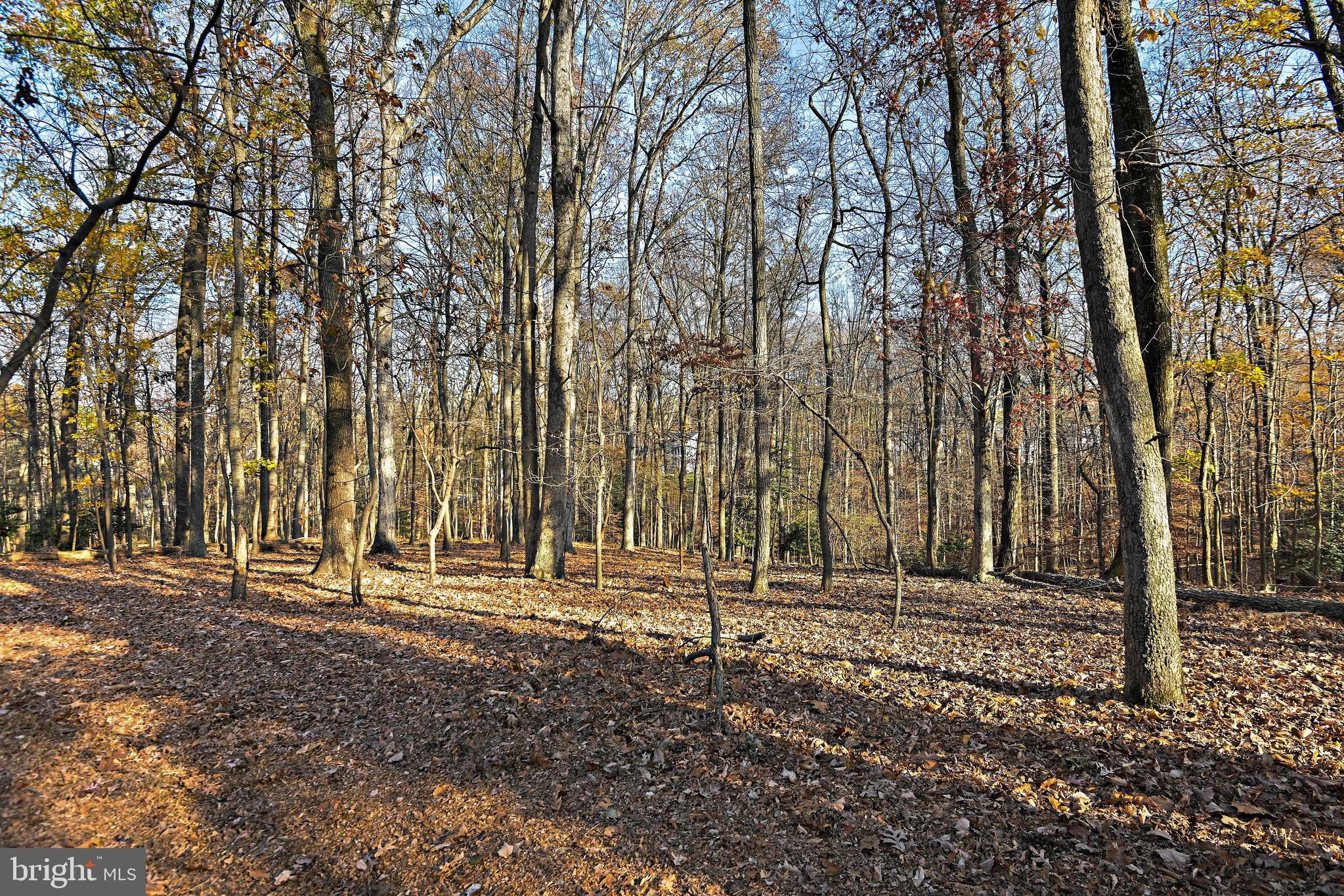 1643 Besley Road Vienna, VA 22182 - Photo 43 of 49 Gallery Image 43