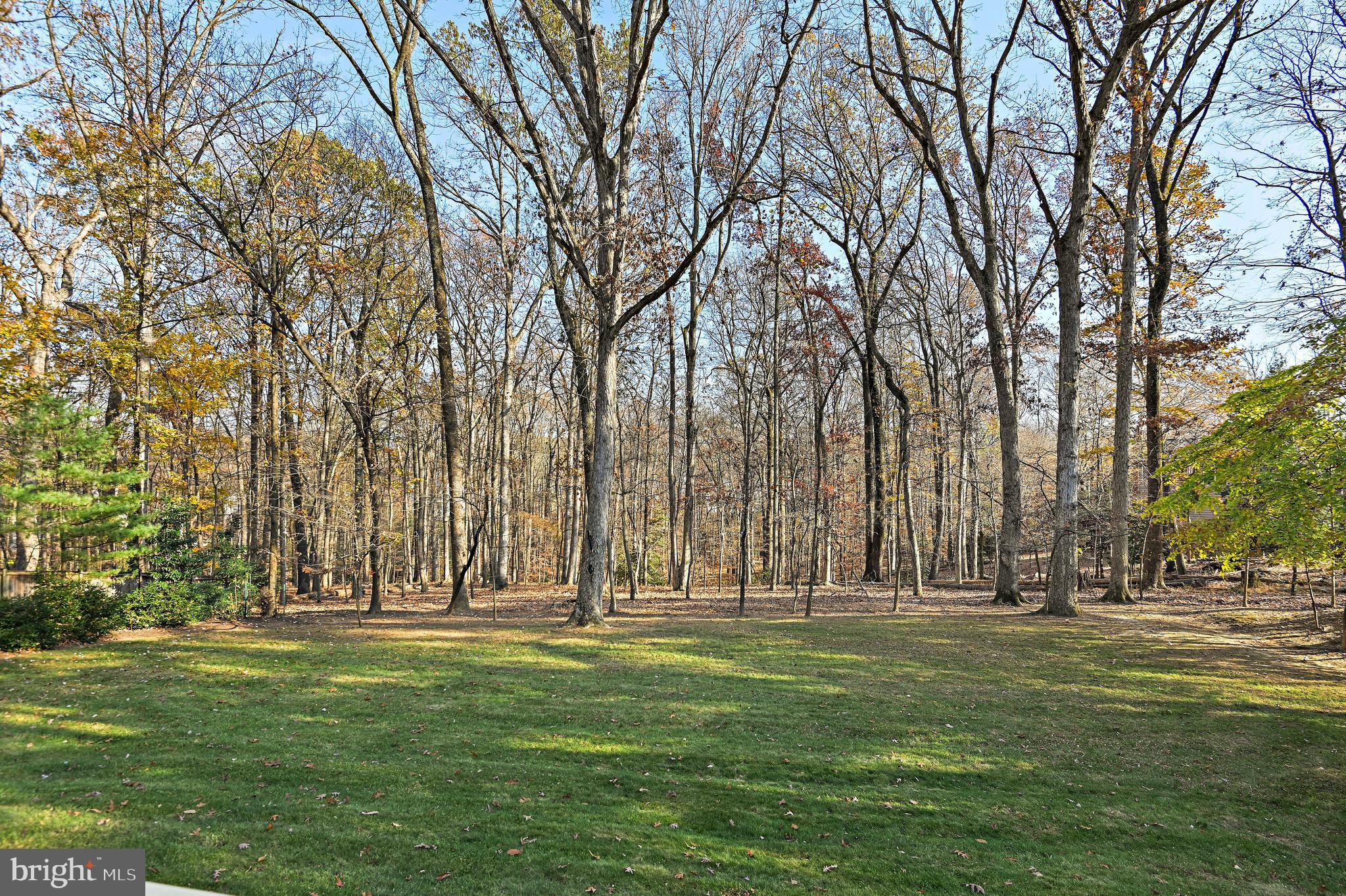 1643 Besley Road Vienna, VA 22182 - Photo 44 of 49 Gallery Image 44