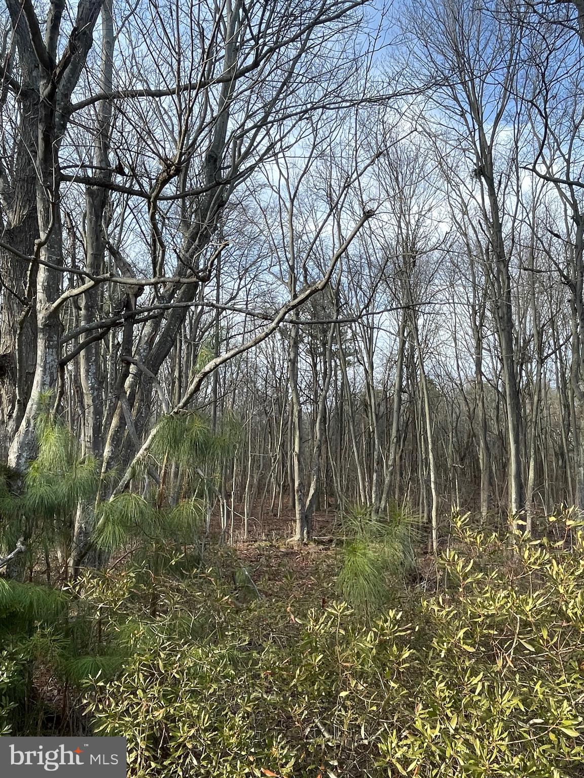 Lot 1 Pickering Beach Road Dover, DE 19901 - Photo 2 of 23