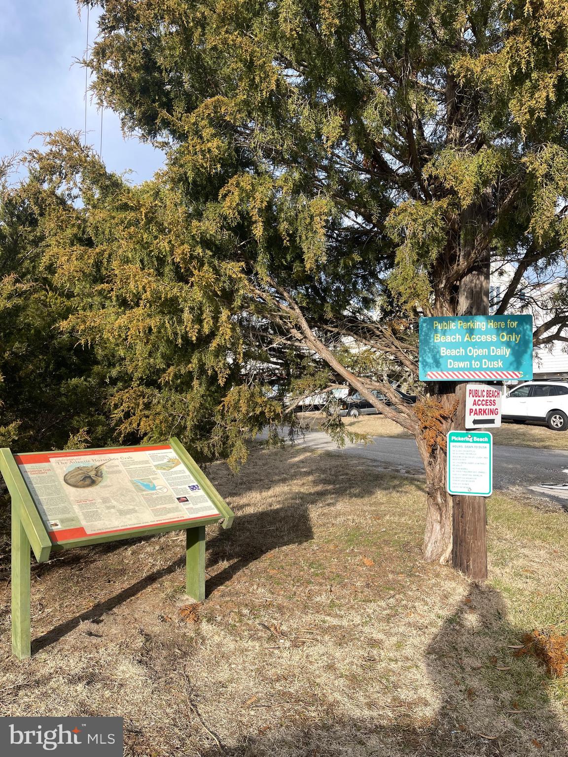 Lot 1 Pickering Beach Road Dover, DE 19901 - Photo 8 of 23