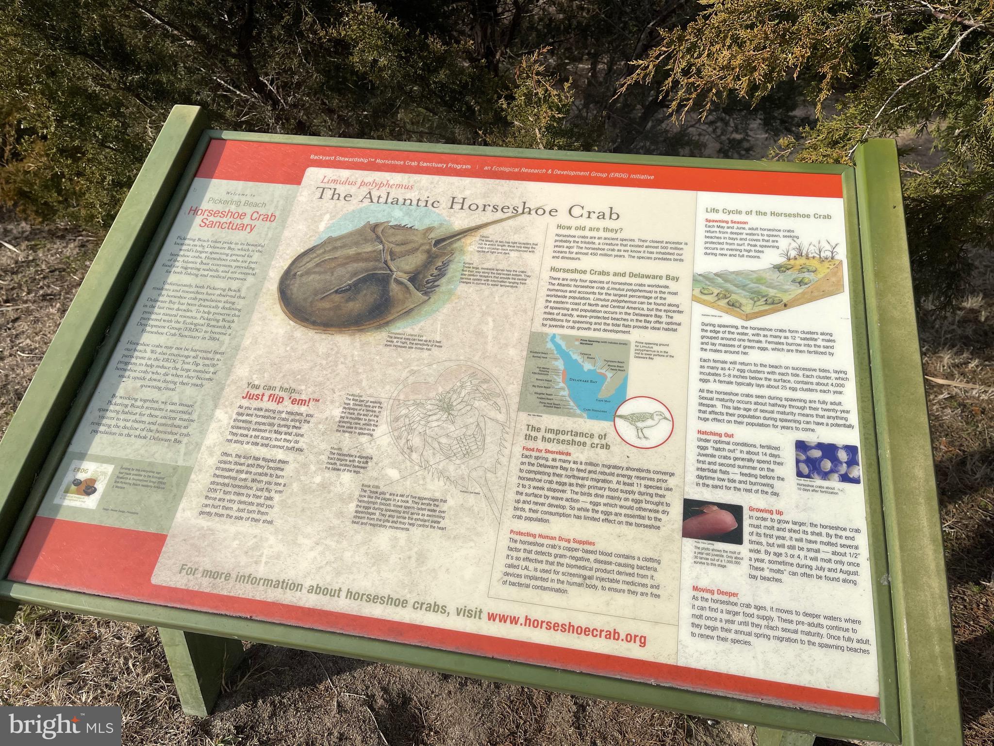 Lot 1 Pickering Beach Road Dover, DE 19901 - Photo 10 of 23