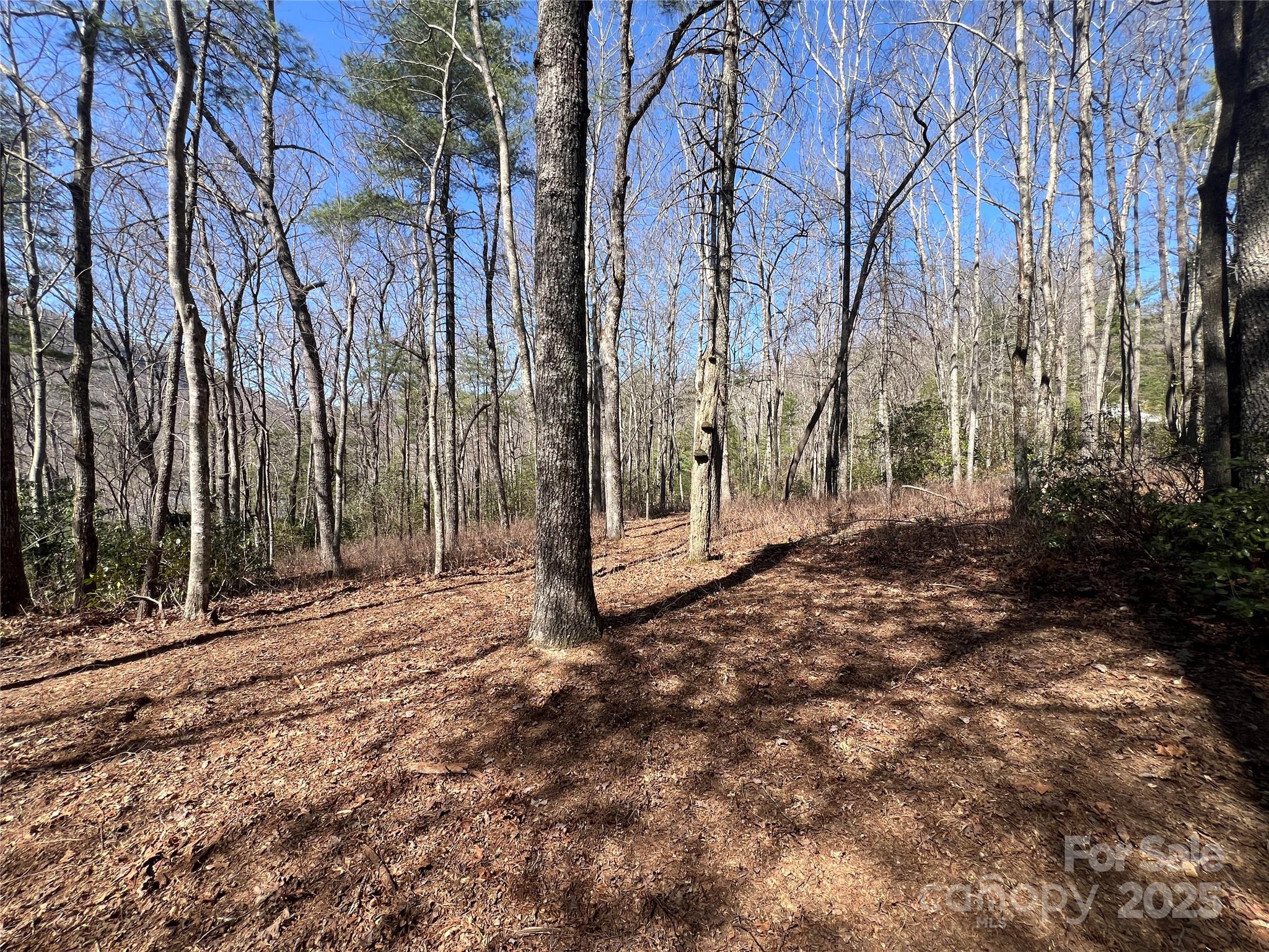 Tbd Panther Ridge Road Lake Toxaway, NC 28747 - Photo 11 of 15