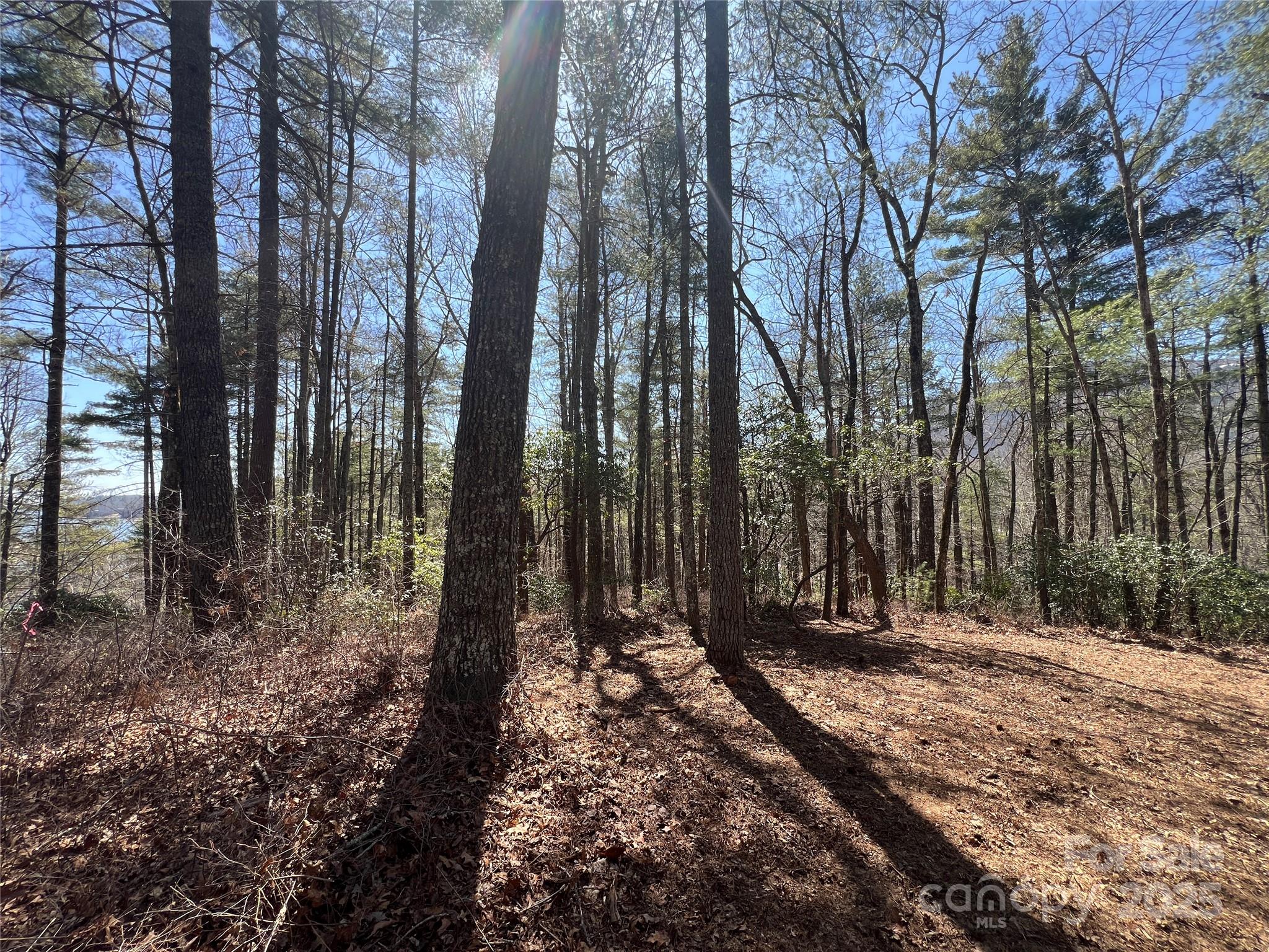 Tbd Panther Ridge Road Lake Toxaway, NC 28747 - Photo 12 of 15