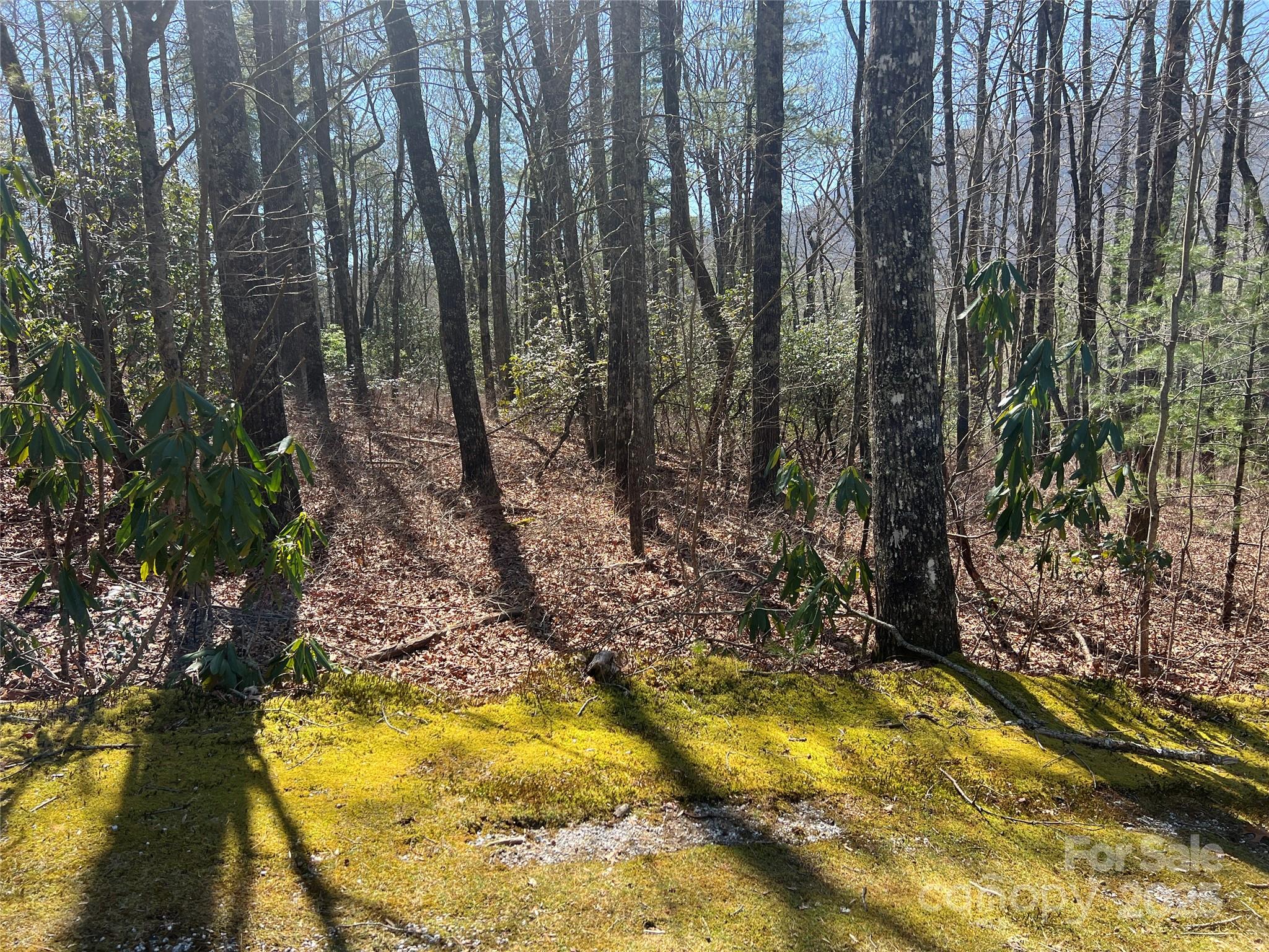 Tbd Panther Ridge Road Lake Toxaway, NC 28747 - Photo 14 of 15