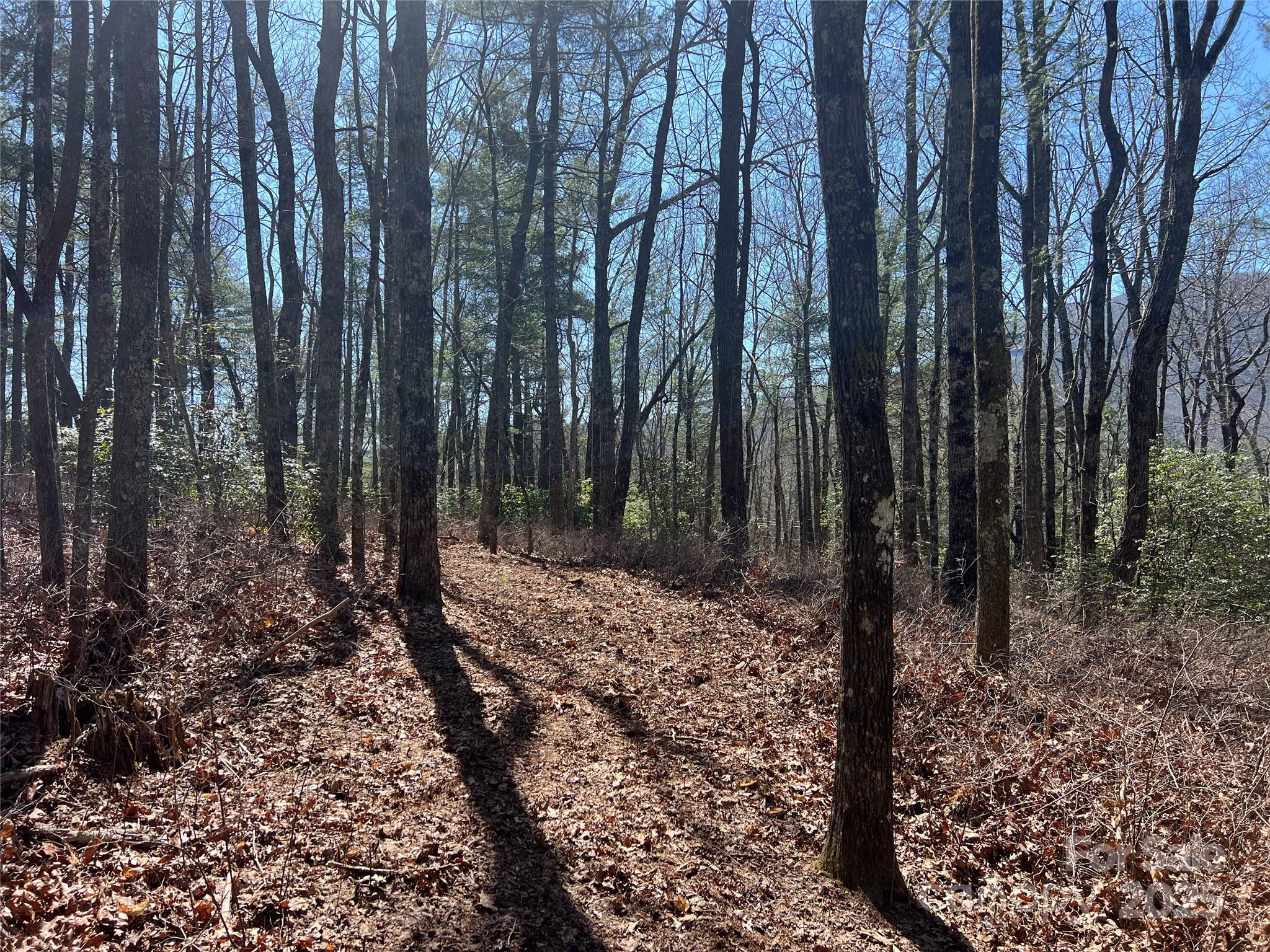 Tbd Panther Ridge Road Lake Toxaway, NC 28747 - Photo 2 of 15