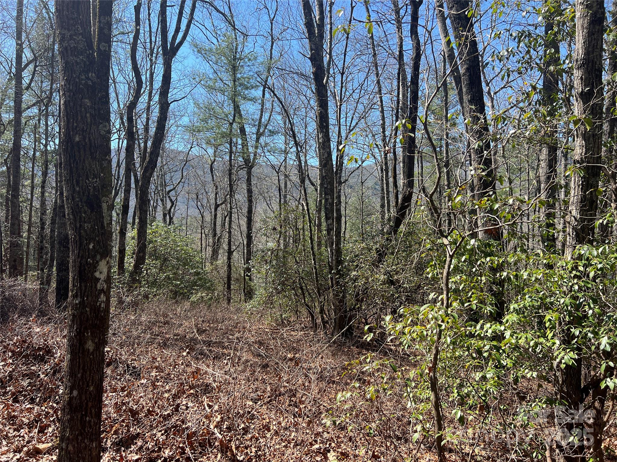 Tbd Panther Ridge Road Lake Toxaway, NC 28747 - Photo 3 of 15