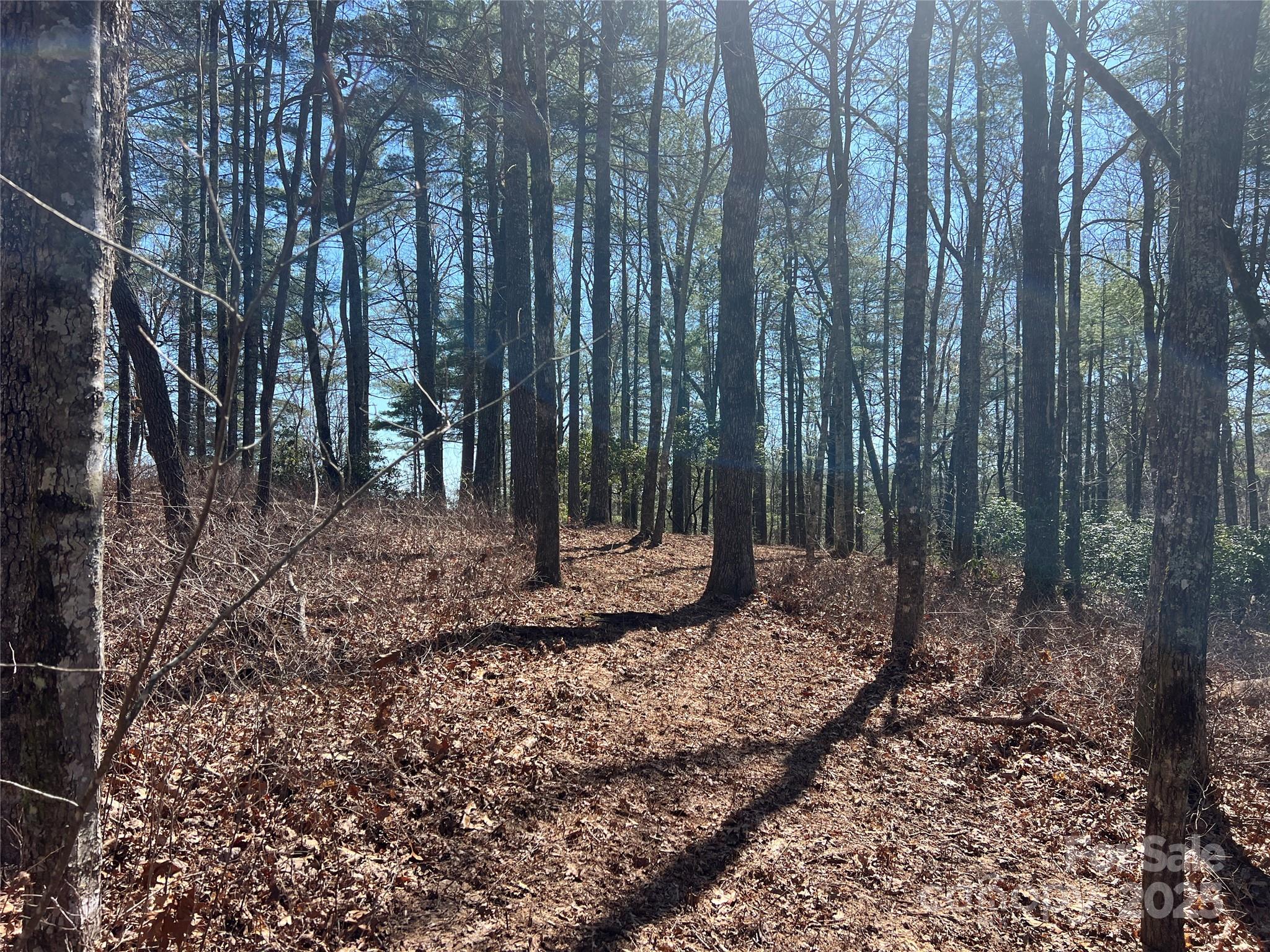 Tbd Panther Ridge Road Lake Toxaway, NC 28747 - Photo 4 of 15