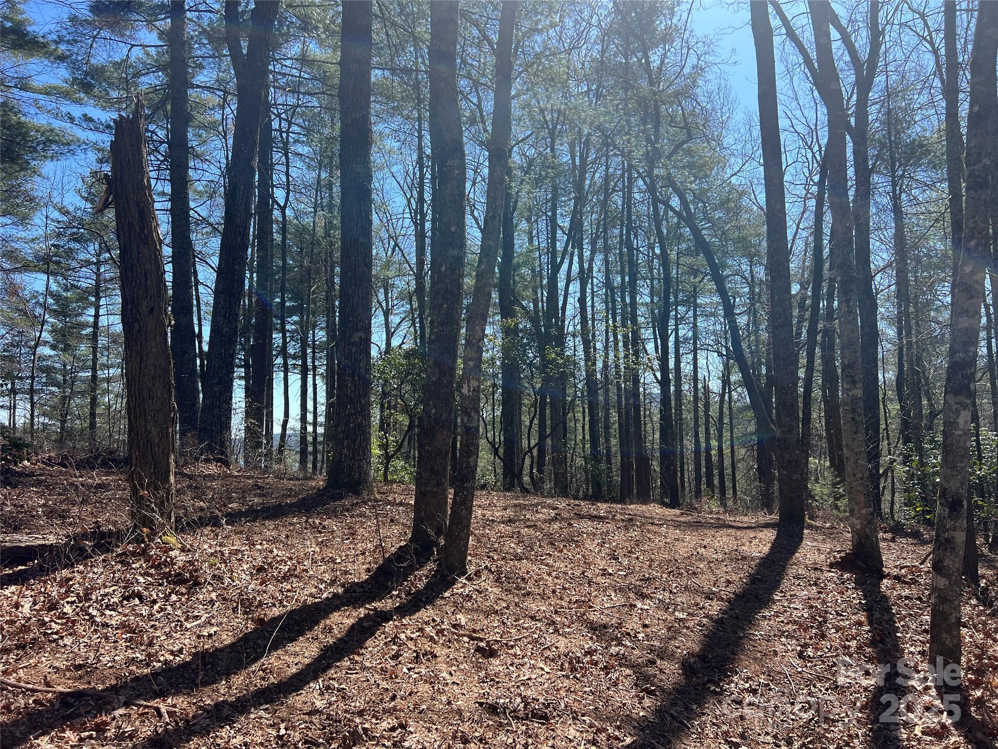 Tbd Panther Ridge Road Lake Toxaway, NC 28747 - Photo 6 of 15