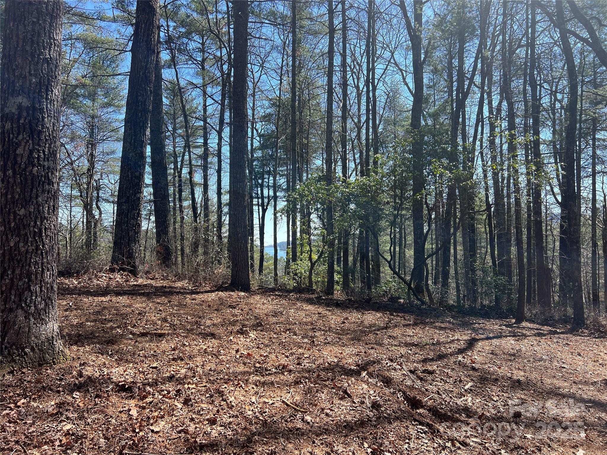 Tbd Panther Ridge Road Lake Toxaway, NC 28747 - Photo 7 of 15