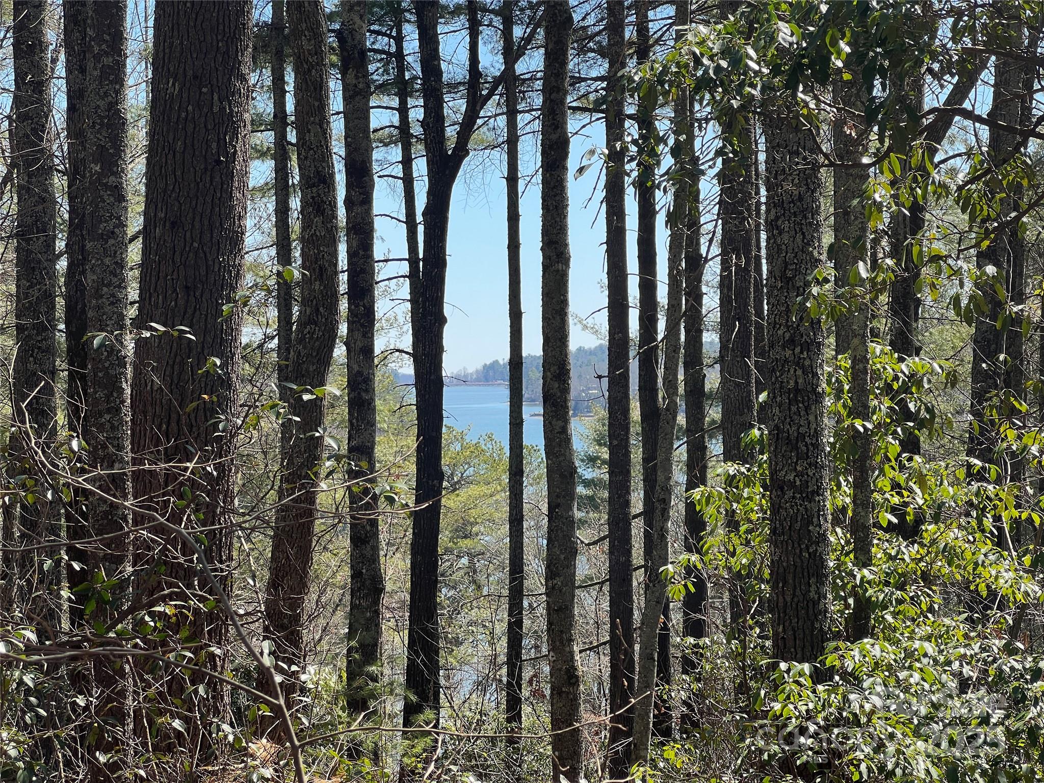Tbd Panther Ridge Road Lake Toxaway, NC 28747 - Photo 9 of 15