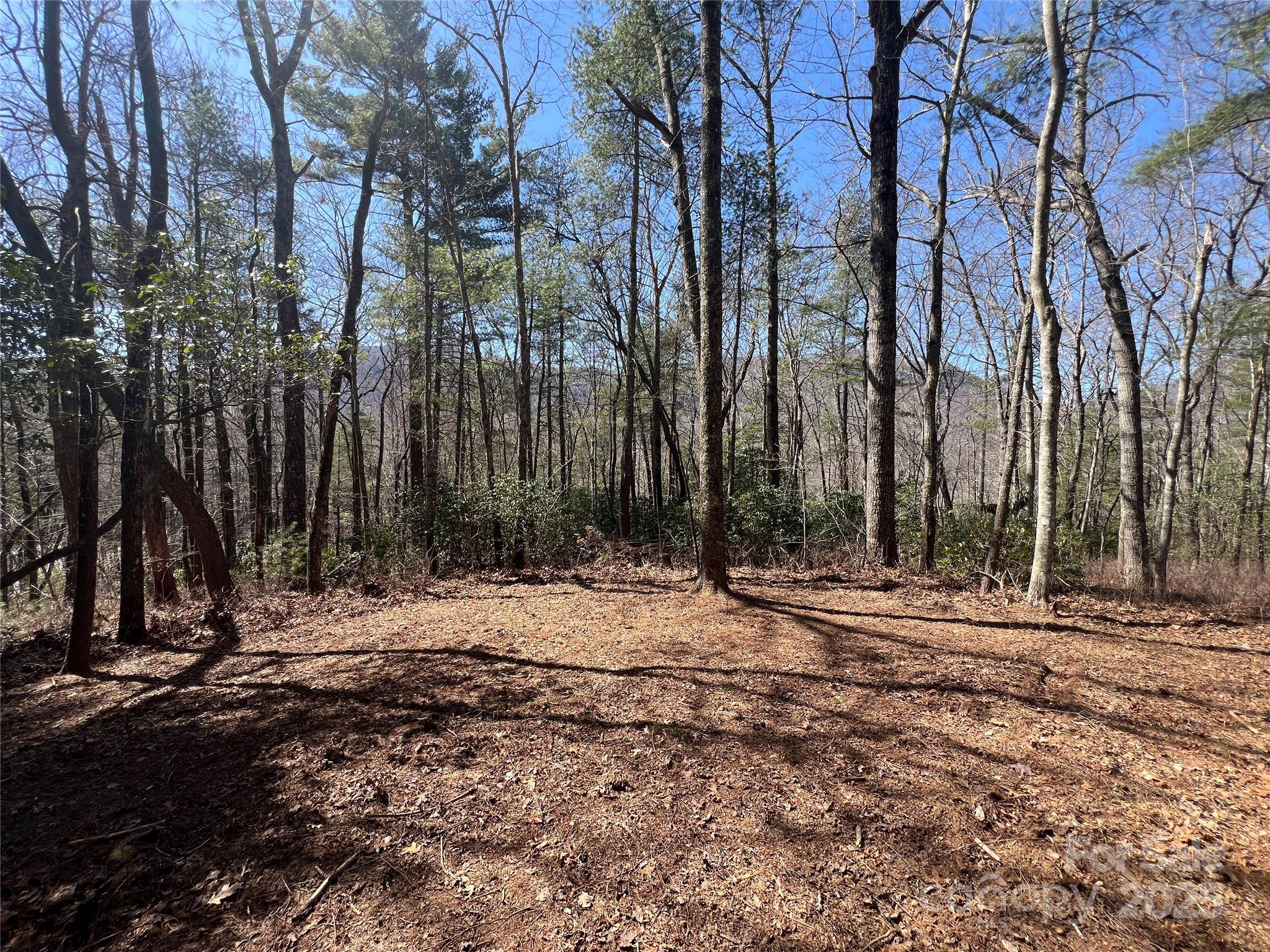 Tbd Panther Ridge Road Lake Toxaway, NC 28747 - Photo 10 of 15