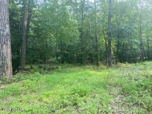 Clarence Fry Road Montoursville, PA 17754 - Photo 11 of 16 Gallery Image 11