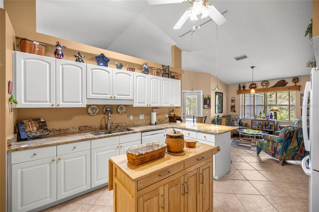 2174 East Celina Street Inverness, FL 34453 - Photo 30 of 54