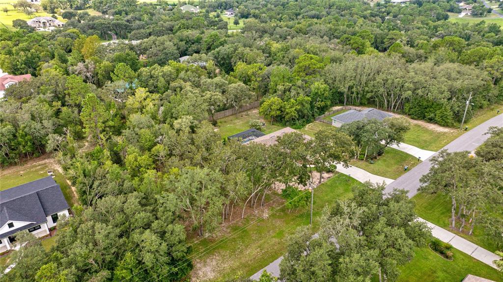 2174 East Celina Street Inverness, FL 34453 - Photo 51 of 54