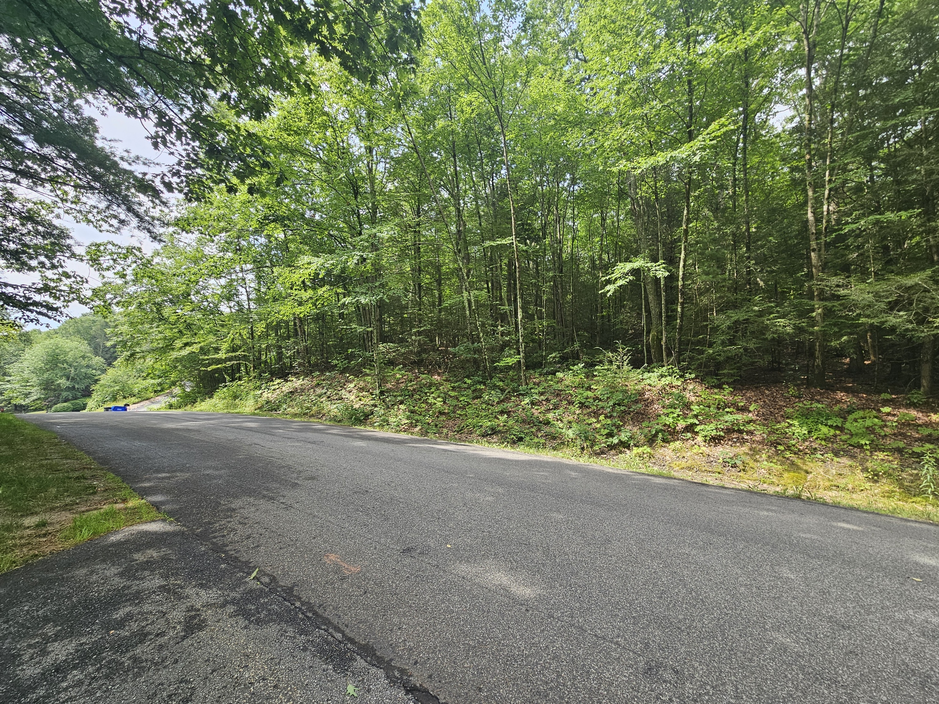 West Street Goshen, CT 06756 - Photo 1 of 1