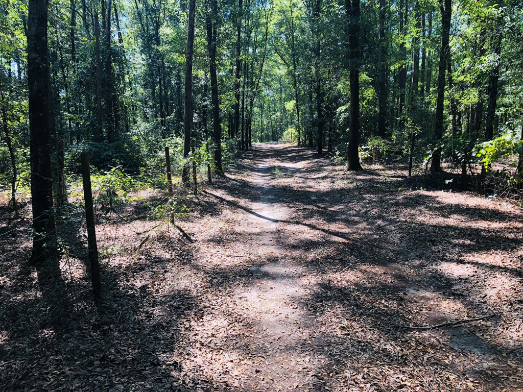 0 Jackson Loop Ozark, AL 36360 - Photo 2 of 13