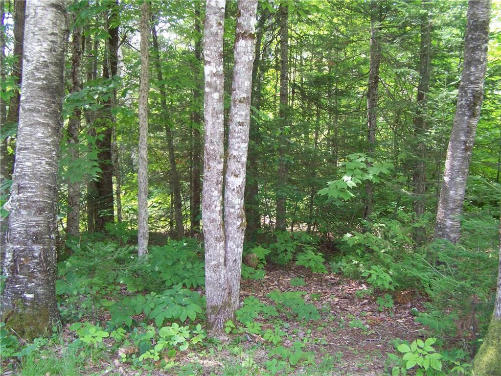 Tbd Tbd Old South Springfield Springfield, ME 04487 - Photo 27 of 27 Photo