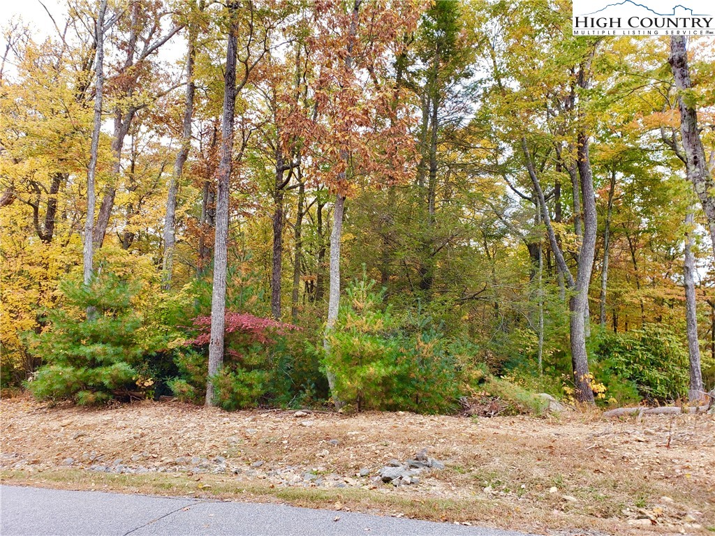Lot 11-12 Sunset Ridge Drive Boone, NC 28607 - Photo 24 of 28