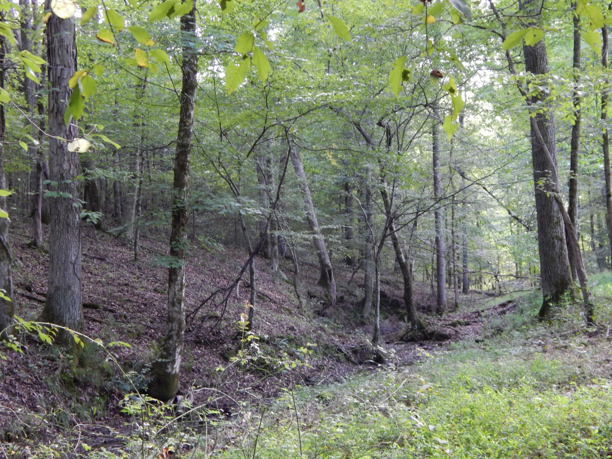 0 West Point Road Westpoint, TN 38486 - Photo 23 of 56