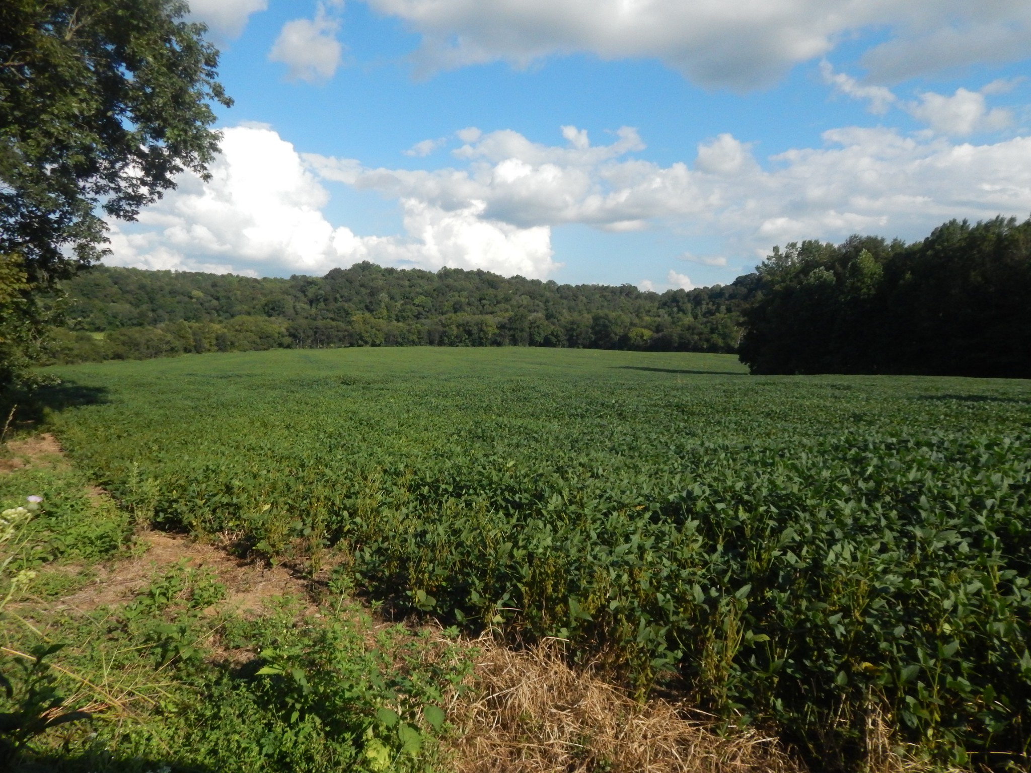 0 West Point Road Westpoint, TN 38486 - Photo 34 of 56