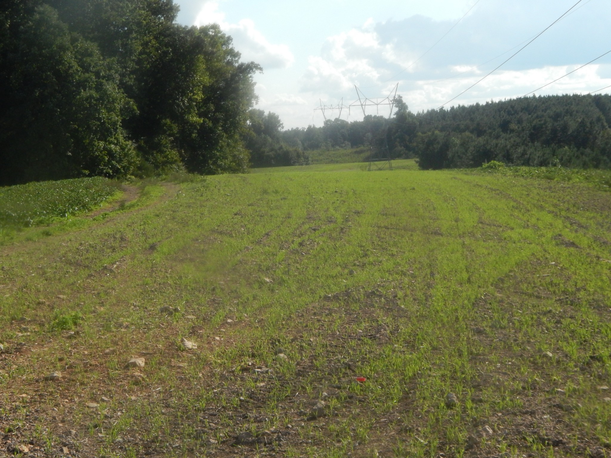 0 West Point Road Westpoint, TN 38486 - Photo 54 of 56