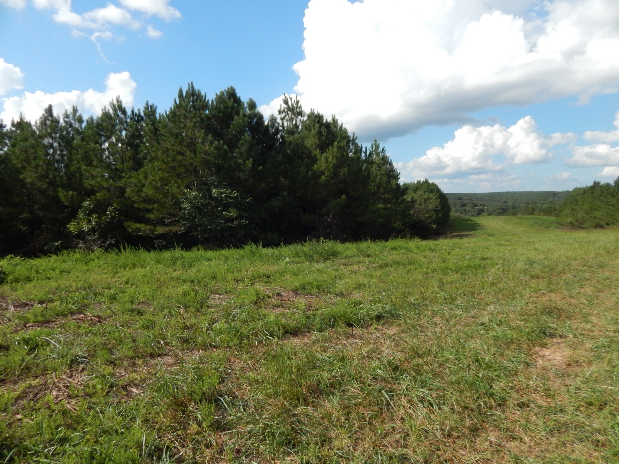 0 West Point Road Westpoint, TN 38486 - Photo 10 of 56